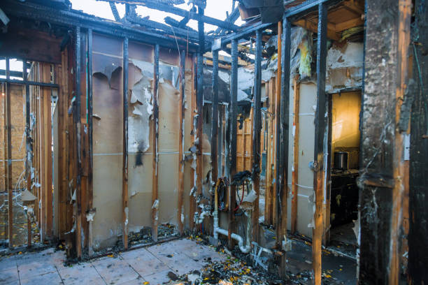 Professional Fire Damage Removal technician working in Renova, MS